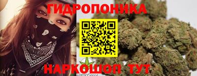 альфа пвп Усть-Илимск
