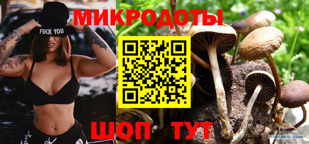 Галлюциногенные грибы Magic Shrooms Благодарный