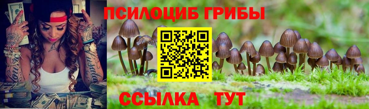 Галлюциногенные грибы Psilocybine cubensis  Вход с VPN  Благодарный  Псилоцибиновые грибы прущие грибы 